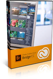 Download Adobe Bridge CC 6.0